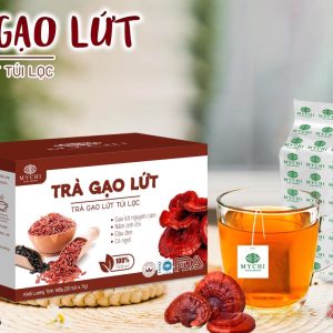 GIÁ SỈ HỘP TRÀ GẠO LỨT MYCHI NẤM LINH CHI ĐỎ CỦA TẬP ĐOÀN VAMICO VIỆT NAM, GIAM CÂN, TAN MỠ, THANH LỌC CƠ THỂ, LỢI SỮA SAU SINH, GIẢM ĐAU XƯƠNG KHỚP